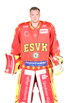 Daniel <b>Fießinger</b>
