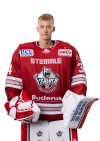 Konrad Fiedler