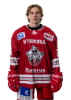Lukas <b>Krieger</b>