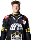 Tim <b>Schütz</b>