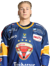 Spieler Bild