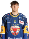 Matej <b>Leden</b>