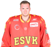 Daniel <b>Fießinger</b>