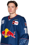Nikolaus <b>Heigl</b>