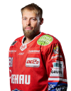 D. <b>Schwamberger</b>