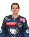 Spieler Bild