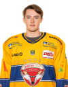 Spieler Bild
