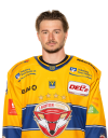 Spieler Bild
