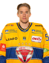 Leon Jessler