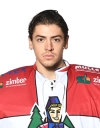 Enrico Salvarani