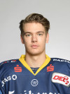 Spieler Bild