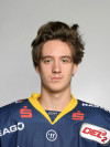 Spieler Bild