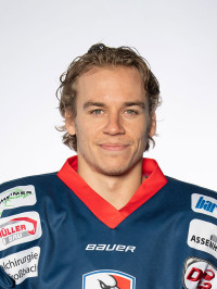 Greg Gibson