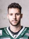 Dennis Swinnen