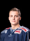 Arne Uplegger