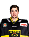 Josef <b>Hölzl</b>