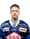 Spieler Bild
