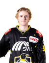 Spieler Bild