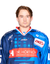 Spieler Bild