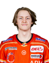 Spieler Bild