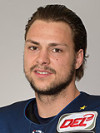 David Elsner