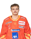 Fabian Nifosi