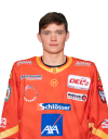 Nikolaus <b>Heigl</b>