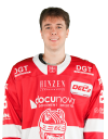 Fabian Herrmann