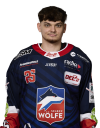 Vasilii Panov