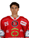 Spieler Bild