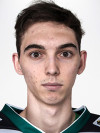 Spieler Bild