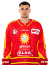 Spieler Bild