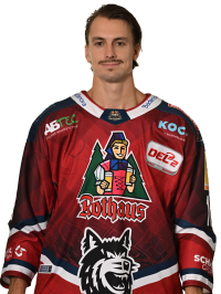 Fabian Ilestedt