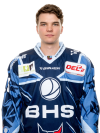 Constantin <b>Vogt</b>