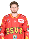 Spieler Bild