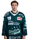 Max <b>Ziergiebel</b>