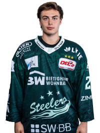 Max Ziergiebel