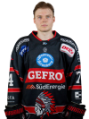 Ludwig <b>Nirschl</b>