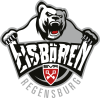 Eisbären Regensburg