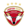 Lausitzer Füchse