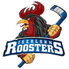 Iserlohn Roosters